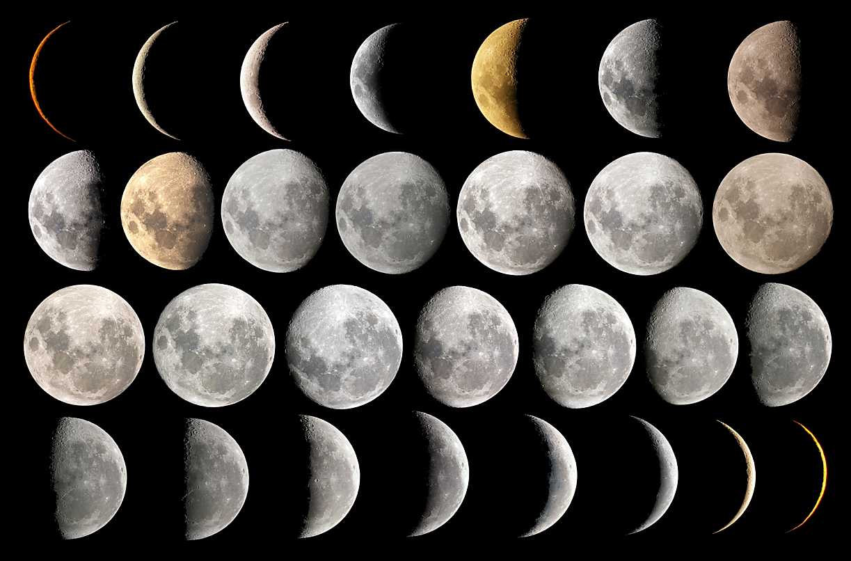 Luna nuova e capelli cosa c'è da sapere