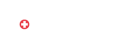 Logo Istituto Helvetico Sanders