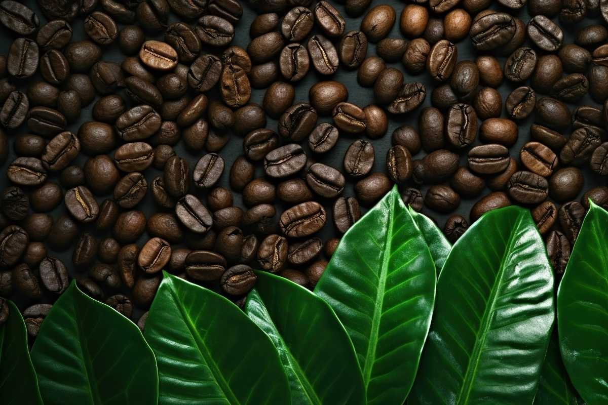 Caffeina Rimedio Naturale Perdita Capelli