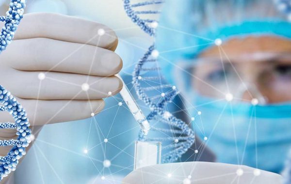 test-calvizie-dna