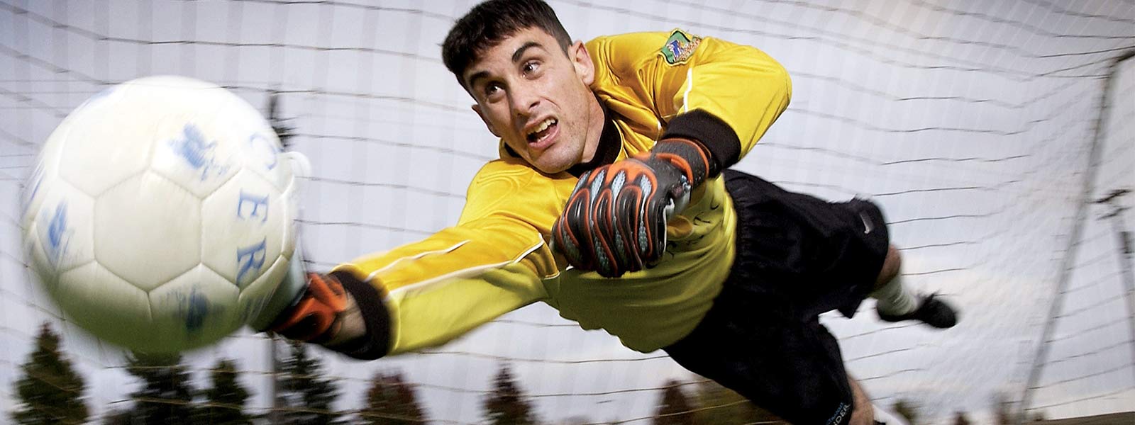 julio cesar