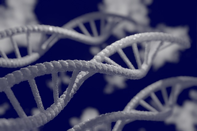 Test del DNA per scoprore causa calvizie