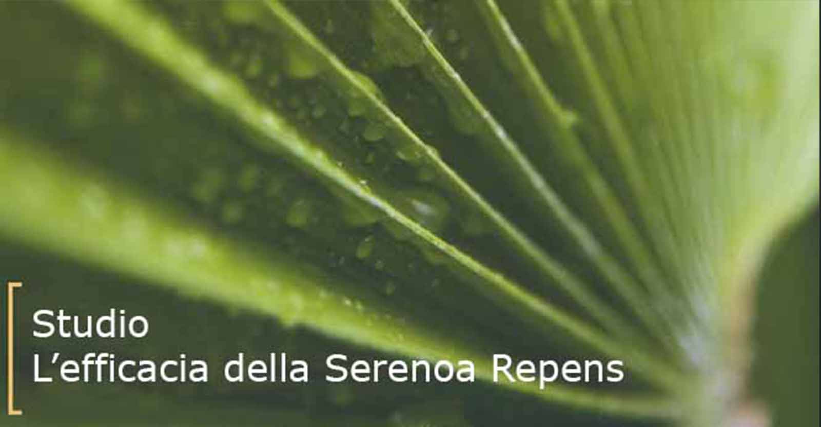 saw palmetto per la perdita dei capelli delle donne saw palmetto per la perdita dei capelli delle donne