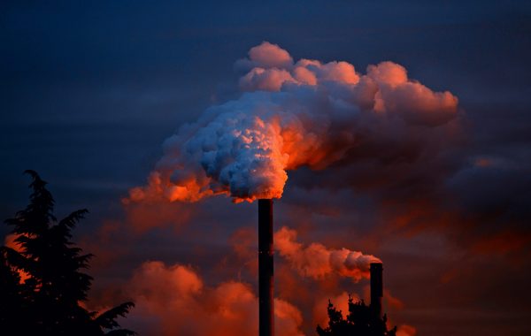 inquinamento atmosfrerico e caduta dei capelli